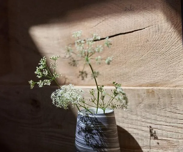 Enhotel זקופאנה